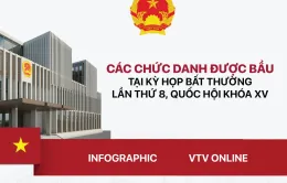 [Infographic] Các chức danh được bầu, phê chuẩn bổ nhiệm tại Kỳ họp bất thường lần thứ 8