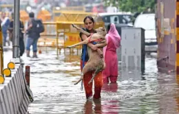 Mưa lớn gây ngập lụt nặng tại New Delhi, Ấn Độ