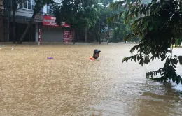 Lào Cai: Nhiều khu vực ngập sâu sau trận mưa lớn