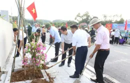 Quảng Ninh: Người dân trồng hàng chục đường hoa dịp Quốc khánh mùng 2/9