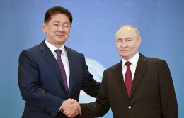 Điện Kremlin “không lo lắng” về khả năng Tổng thống Putin bị ICC bắt khi thăm Mông Cổ