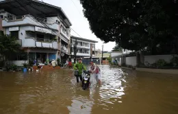 Bão Yagi gây thiệt hại tại Philippines, 14 người thiệt mạng