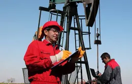 Giá dầu giảm trước khả năng Opec+ nâng sản lượng