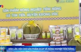 Hội chợ giới thiệu sản phẩm OCOP và nông nghiệp tiềm năng ở Đắk Lắk