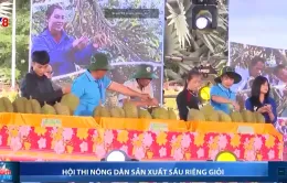 Hội thi nông dân sản xuất sầu riêng giỏi