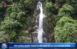 Phát triển các tour, tuyến du lịch trải nghiệm nông thôn