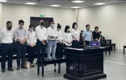 Cựu Chủ tịch Vimedimex bị tuyên phạt 36 tháng tù
