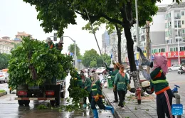 Đối phó siêu bão Yagi, Hong Kong (Trung Quốc) hủy nhiều chuyến bay