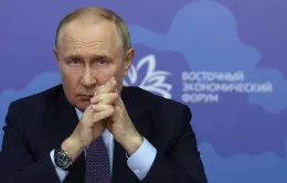 Tổng thống Putin: Chiến dịch tấn công Kursk của Ukraine không đạt được mục tiêu