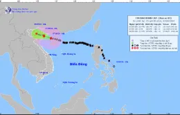 Bão số 3 cách Quảng Ninh 180 km, đảo Bạch Long Vĩ gió giật cấp 13