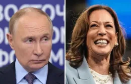 Tổng thống Putin công khai ủng hộ bà Harris trong cuộc bầu cử Mỹ