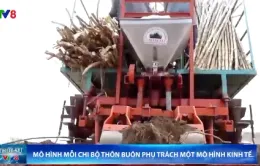 Mỗi Chi bộ thôn buôn phụ trách một mô hình kinh tế