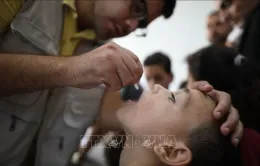 Bắt đầu chiến dịch tiêm vaccine phòng bại liệt giai đoạn 2 ở phía Nam Gaza