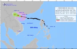 Bão số 3 giật cấp 17, cách Quảng Ninh - Thái Bình 150 km về phía Đông Đông Nam