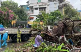 Chiều 7/9, Đông Bắc Bộ và Thủ đô Hà Nội có gió rất mạnh