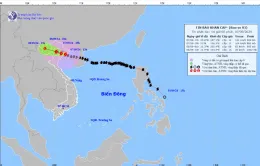 Bão số 3 giật cấp 16 trên vùng biển Quảng Ninh - Hải Phòng