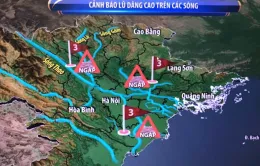 Yên Bái, Ninh Bình, Bắc Giang lũ lên khẩn cấp, cảnh báo ngập lụt diện rộng