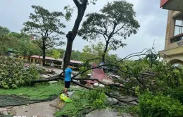 Hà Nội: Chưa cho học sinh đến trường nếu chưa đảm bảo an toàn