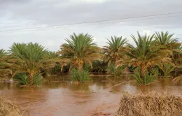 Lũ lụt nghiêm trọng ở Morocco khiến ít nhất 11 người thiệt mạng