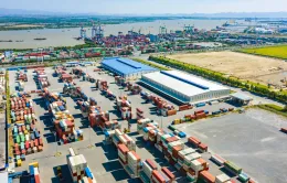 Khai thác trở lại cảng Hải Phòng sau bão