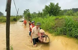 Phú Thọ: Nhiều khu vực trên địa bàn huyện Cẩm Khê chìm trong nước lũ