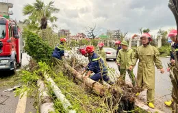 Công an Quảng Ninh ra quân khắc phục hậu quả siêu bão Yagi