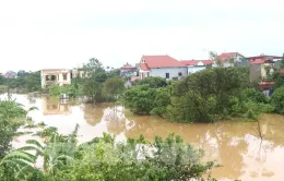 Hưng Yên, Hải Dương phát lệnh báo động lũ lụt mức độ 3 trên nhiều hệ thống sông