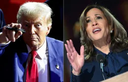 Ông Trump hay bà Harris đang dẫn đầu trong các cuộc thăm dò bầu cử Tổng thống Mỹ?