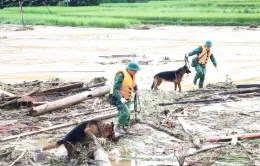 Vụ sạt lở tại Làng Nủ (Lào Cai): “Tìm cái còn trong cái mất” để giảm tối đa đau thương