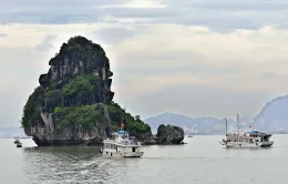 3 ngày làm sạch Vịnh Hạ Long