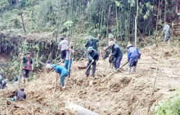 Tạm đình chỉ công tác 2 chủ tịch xã ở Lào Cai vì né tránh trong phòng chống bão lũ