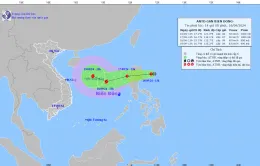 Áp thấp nhiệt đới áp sát biển Đông, di chuyển 15 km/h