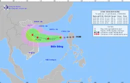 Áp thấp nhiệt đới khả năng mạnh lên thành bão, đổ bộ từ Thanh Hóa - Quảng Ngãi