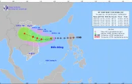 Áp thấp nhiệt đới có khả năng mạnh lên thành bão giật cấp 10