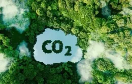 World Bank sẽ mua tín chỉ carbon ngành lúa gạo