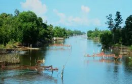 Cà Mau: Thực hiện giải tỏa các hàng đáy và hoạt động khai thác thủy sản trên sông, rạch