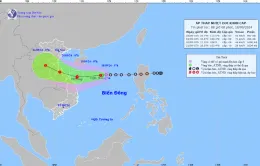 Áp thấp nhiệt đới mạnh lên thành bão trong 24 giờ tới