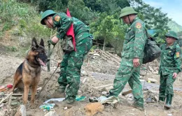 Đưa chó nghiệp vụ đến Nậm Tông (Lào Cai) tìm nạn nhân mất tích