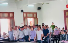 Phú Yên: Vi phạm đất đai, cựu chủ tịch huyện và nhiều cán bộ bị tuyên án