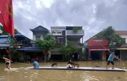 Hàng nghìn ngôi nhà ở TP Thái Nguyên ngập lụt sau bão Yagi