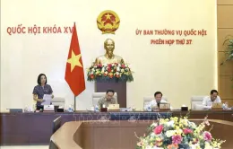 Phòng, chống tham nhũng, tiêu cực thông qua hoạt động kiểm toán