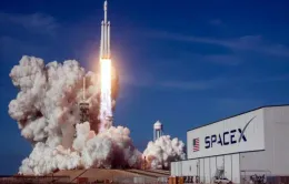 SpaceX có thể bị phạt vì phóng tên lửa đẩy không phép