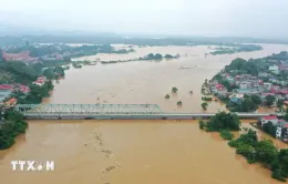 Lũ sông Thao dâng nhanh, Yên Bái cảnh báo ngập lụt diện rộng