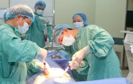 Thực hiện thành công 2 ca ghép tủy đồng loại cho bệnh nhân tan máu bẩm sinh