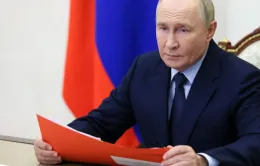 Nga bị tấn công mạng quy mô lớn chưa từng có trong ngày sinh nhật Tổng thống Putin