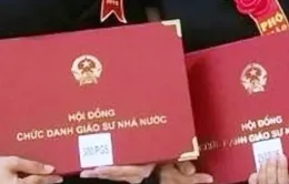 91 người bị loại khỏi danh sách xét giáo sư, phó giáo sư