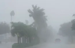 Siêu bão Milton đổ bộ Florida (Mỹ): Mưa lớn "ngàn năm có một", lốc xoáy thổi bay nhà