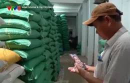 Tỷ phú nông dân xứ Quảng tâm huyết với chuyển đổi số