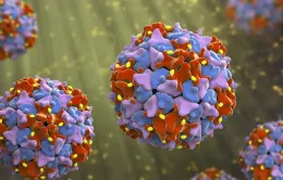 AI giúp phát hiện hơn 160.000 loại virus mới