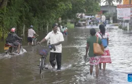 Sri Lanka: Lũ lụt nghiêm trọng khiến hơn 100.000 người rời bỏ nhà cửa